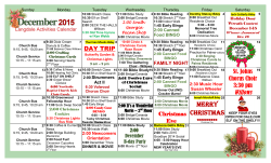 Merry Christmas - Langdale Place