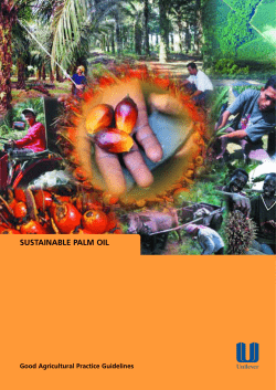 Sustainable Palm Oil: Good Agricultural Practice Guidelines