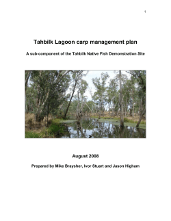 Macintyre River carp management plan &ndash; a sub