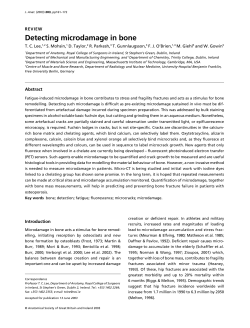 Detecting microdamage in bone
