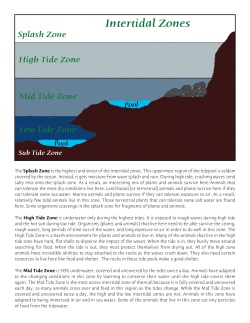 The Splash Zone is the highest and driest of the intertidal zones