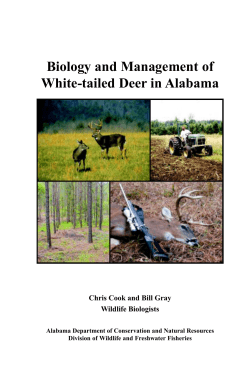 Biology and Management of White-tailed Deer in