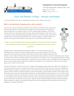 Fears and Phobias in Dogs &ndash; Animals and People