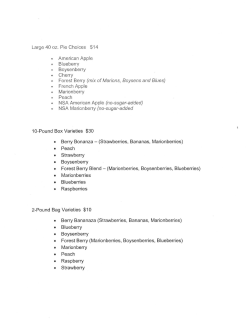 Large 40 oz. Pie Choices $14 &bull; American Apple &bull; Blueberry