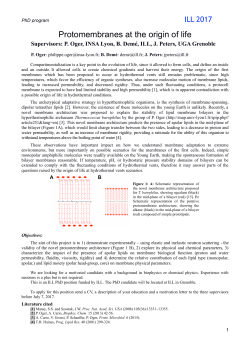 PhD in Neutron Scattering Study of Protomembranes