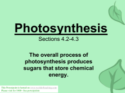 Sections 4.2-4.3 The overall process of photosynthesis produces