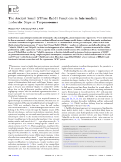The Ancient Small GTPase Rab21 Functions in Intermediate