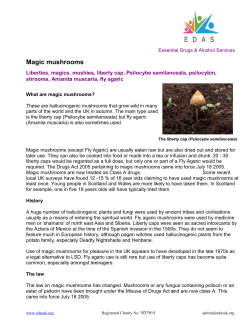 Magic mushrooms - EDAS Essential Drugs and Alcohol Services
