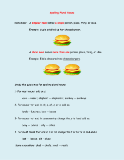 Spelling Plural and Possessive Nouns