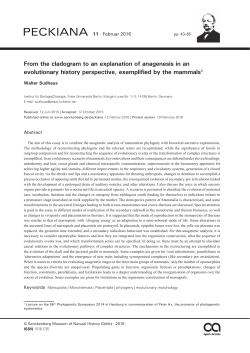 From the cladogram to an explanation of anagenesis in an