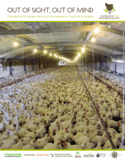 Out Of Sight, Out Of Mind - Compassion in World Farming USA