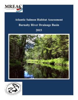 Atlantic Salmon Habitat Assessment Barnaby River