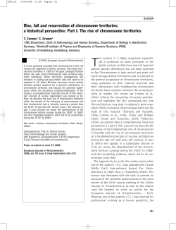 Rise, fall and resurrection of chromosome territories