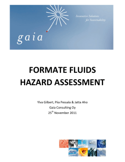 formate fluids hazard assessment