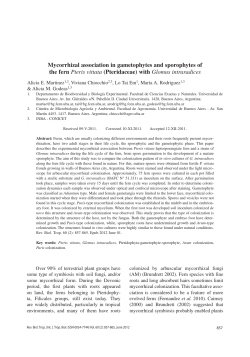 Mycorrhizal association in gametophytes and sporophytes of the