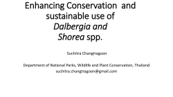 Enhancing conservation and sustainable use of Dalbergia