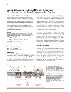Lactic acid bacteria: the bugs of the new millennium