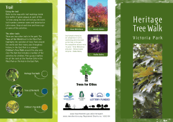 Heritage trees - Tower Hamlets