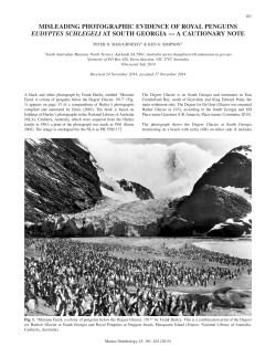 PDF - Marine Ornithology