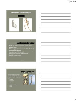 STRUCTURE AND FUNCTION: Made up of the numerous bones of