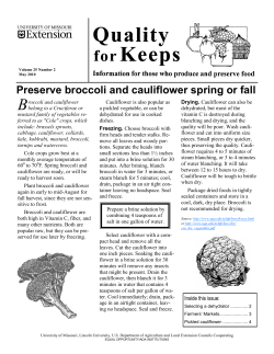 Preserve broccoli and cauliflower spring or fall