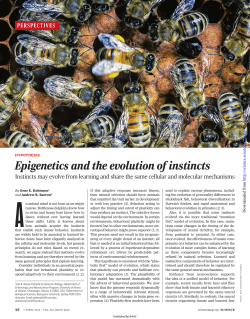 Epigenetics and the evolution of instincts