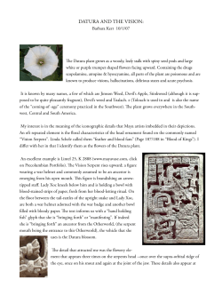 Datura anD the Vision