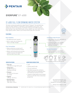 EF-6000 System - Everpure