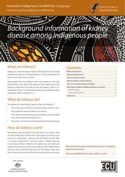 Background information of kidney disease among Indigenous people