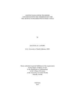 ANCIENT MAYA STONE POLISHERS AND ISSUES WITH THE