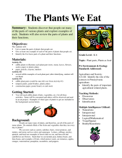 The Plants We Eat - Munnell Run Farm