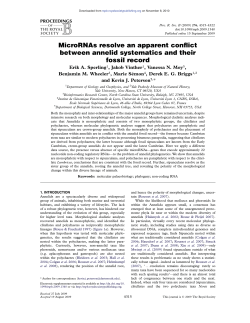 MicroRNAs resolve an apparent conflict between annelid