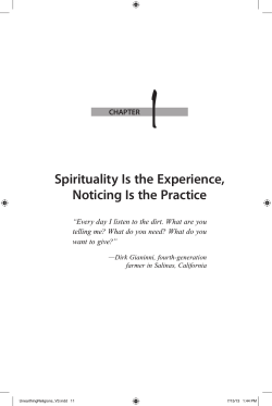Spirituality Is the Experience, Noticing Is the Practice