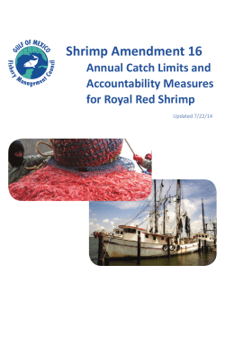 Shrimp Amendment 16 - Gulf of Mexico Fishery Management Council