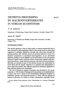 detritus processing by macroinvertebrates in stream ecosystems