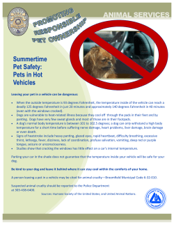 ANIMAL SERVICES Summertime Pet Safety: Pets in Hot Vehicles