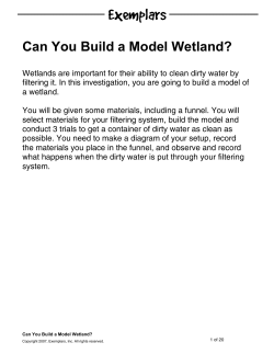 Can You Build a Model Wetland?