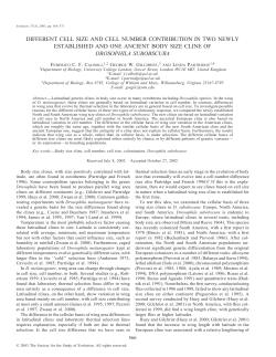 different cell size and cell number contribution in two newly