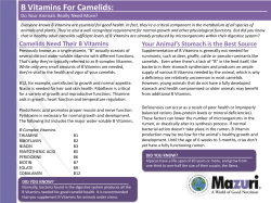 B Vitamins For Camelids