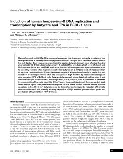 Induction of human herpesvirus-8 DNA replication and transcription