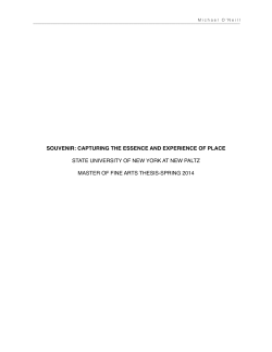 SOUVENIR: CAPTURING THE ESSENCE AND EXPERIENCE OF