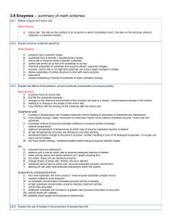 3.6 Enzymes &ndash; summary of mark schemes
