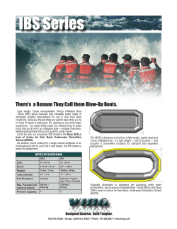 IBS Series - Wing Inflatables