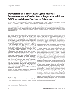 Expression of a Truncated Cystic Fibrosis Transmembrane