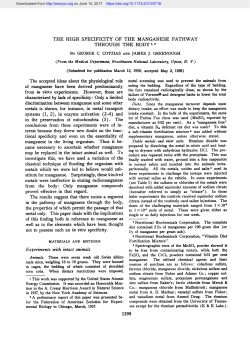 Document