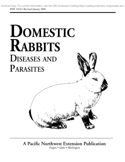 Domestic Rabbits: Diseases and Parasites
