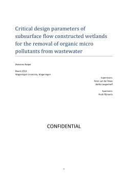 Critical design parameters of subsurface flow
