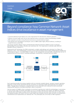 Beyond compliance: how Common Network Asset Indices drive