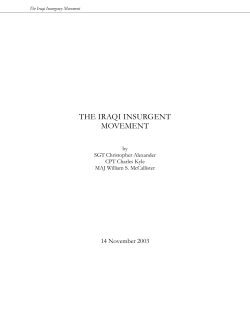 THE IRAQI INSURGENT MOVEMENT