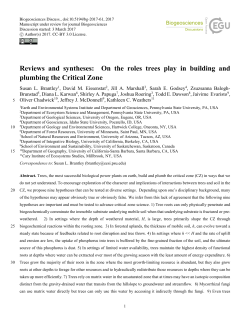 On the roles trees play in building and plumbing the Critical Zone